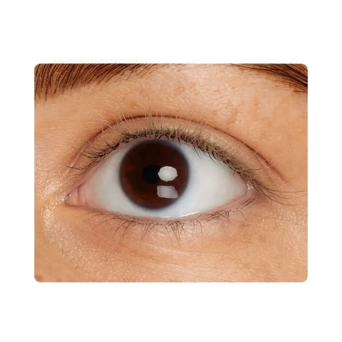 Tarte Line Define Tubing Mascara Double Take Eyeliner Free Charm