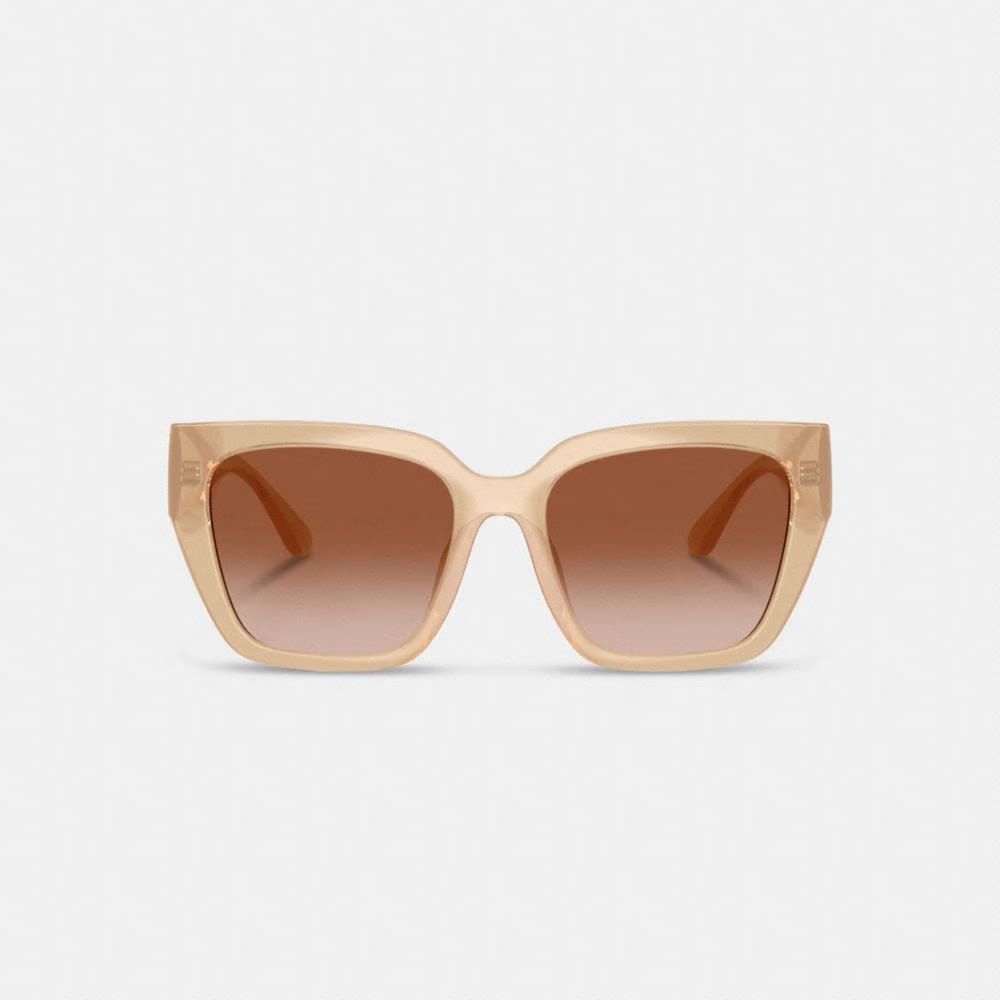 Coach Oversized Cat Eye Sunglasses Milky Beige