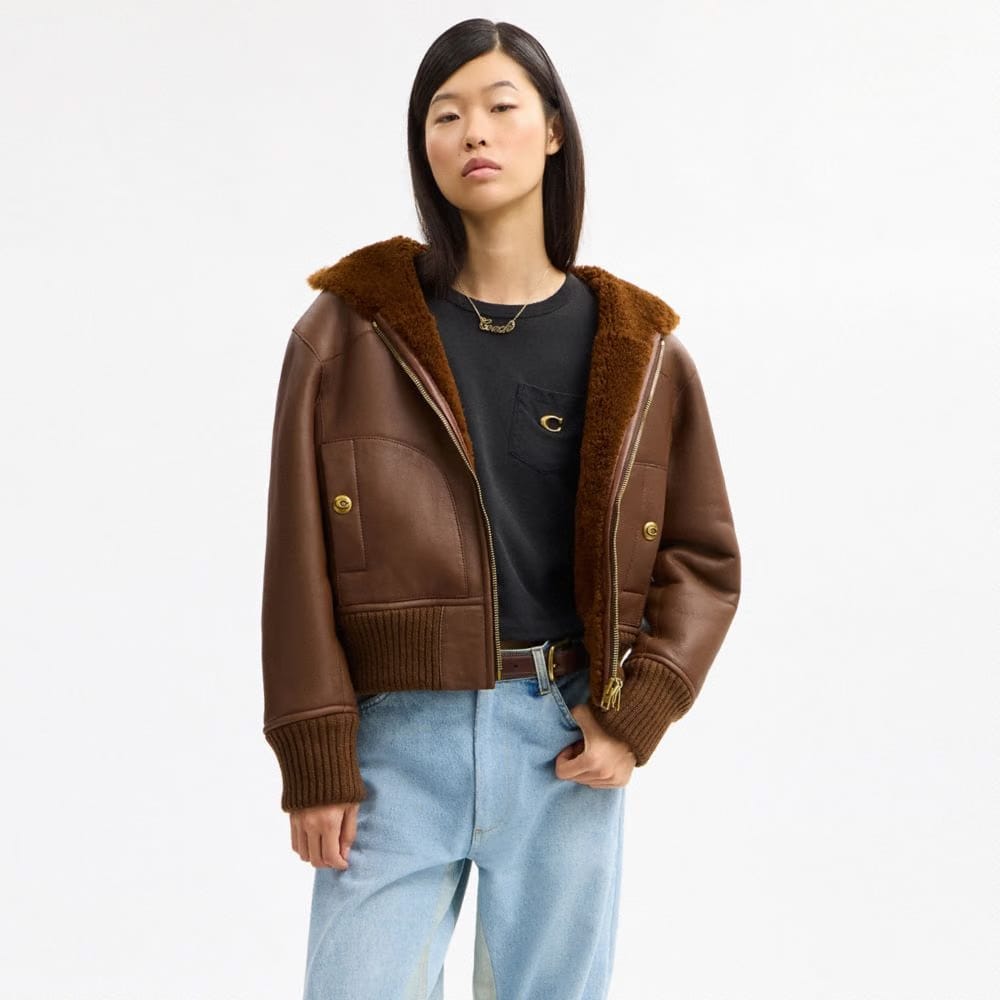 Reversible Shearling Hoodie