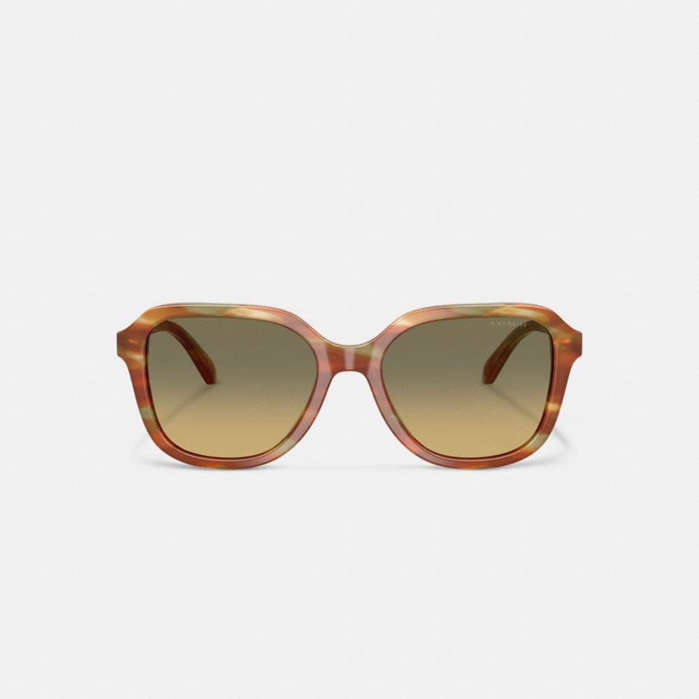 Oval Square Sunglasses