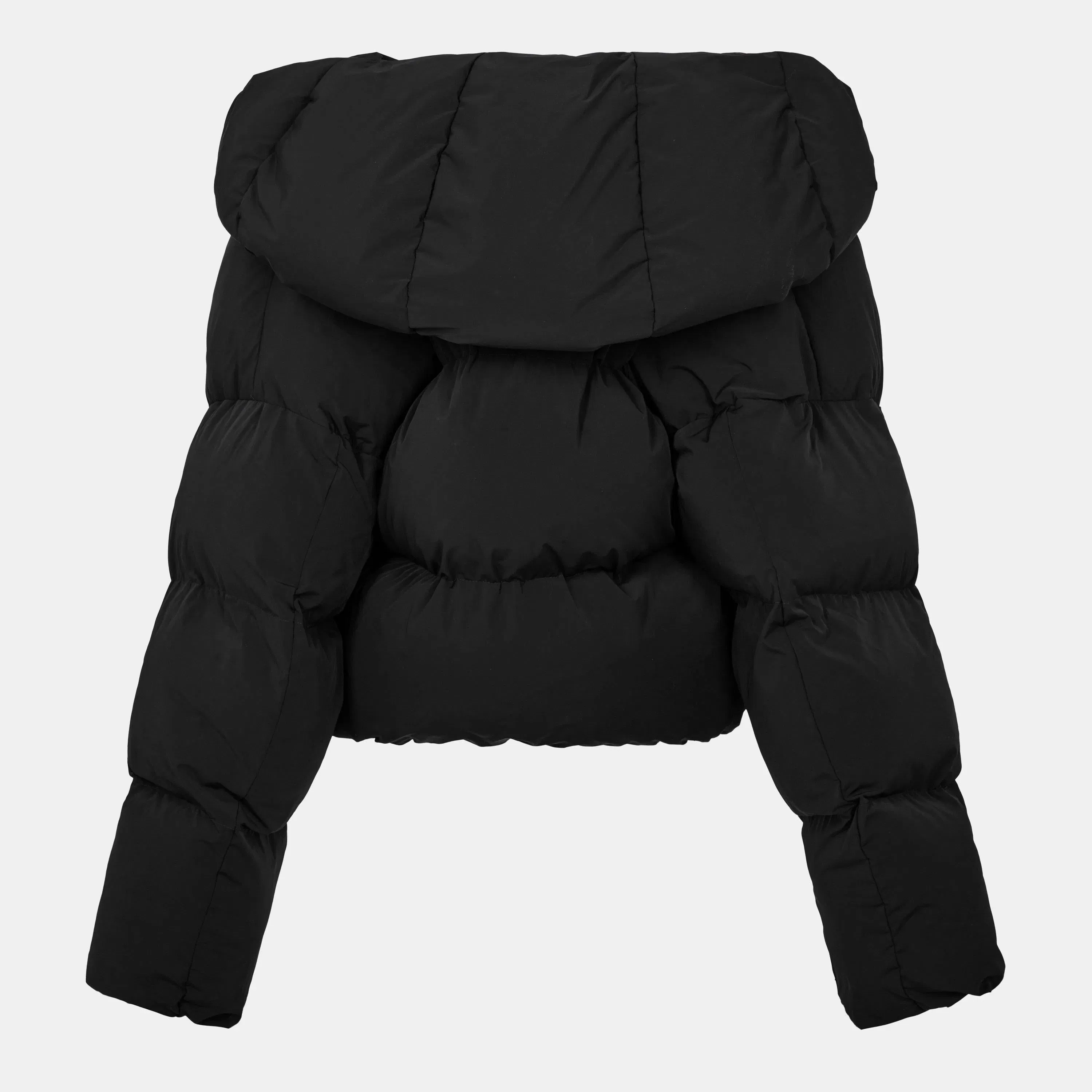 W-Iley-T1 Hooded Long Sleeve Short Puffer Jacket