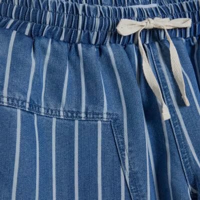 Blue Striped Denim Shorts