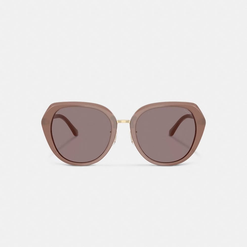 Maxi Sculpted C Oversized Round Sunglasses