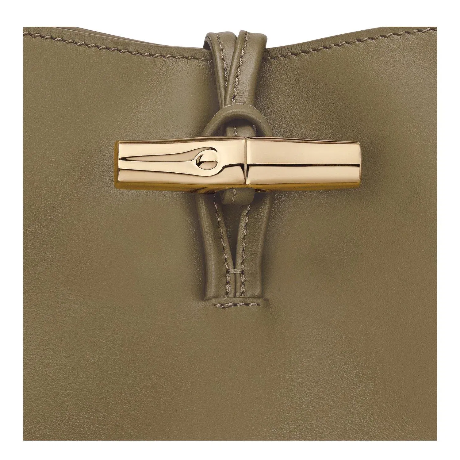 Le Roseau M Hobo Bag