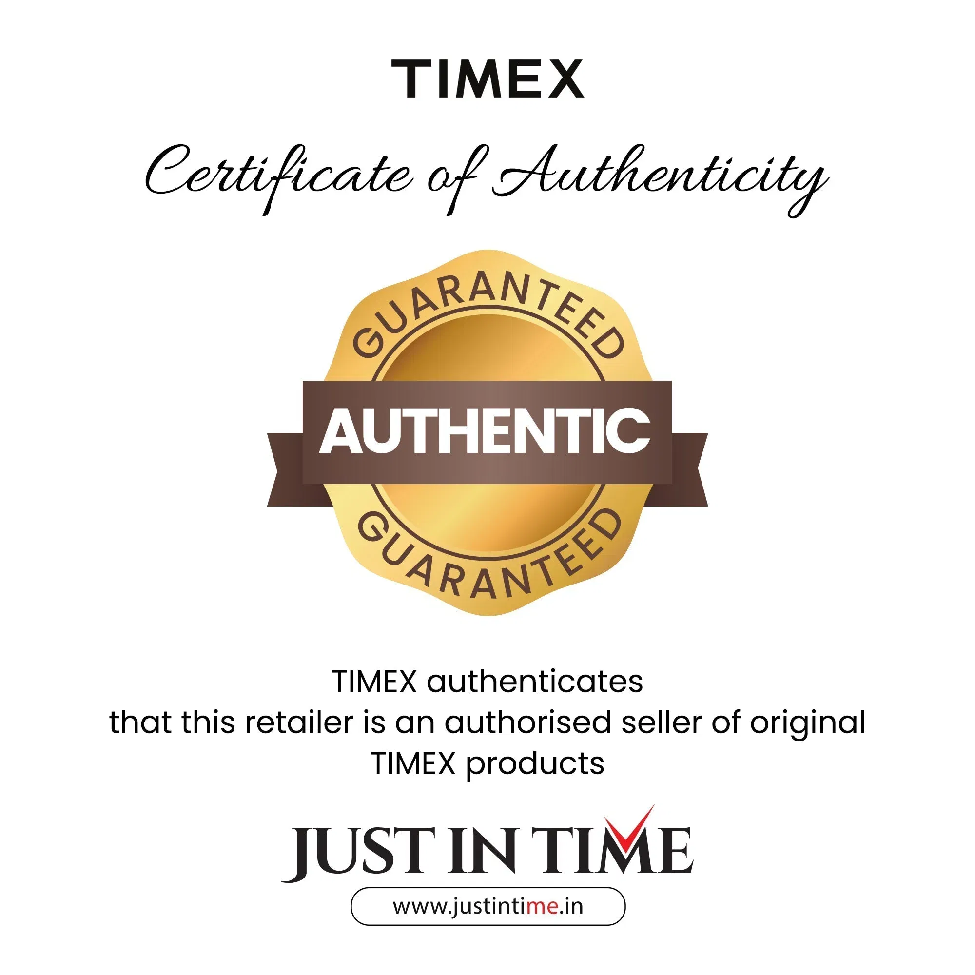 Timex Trendline Men Quartz Dial Analog Leather Watch Tweg25506