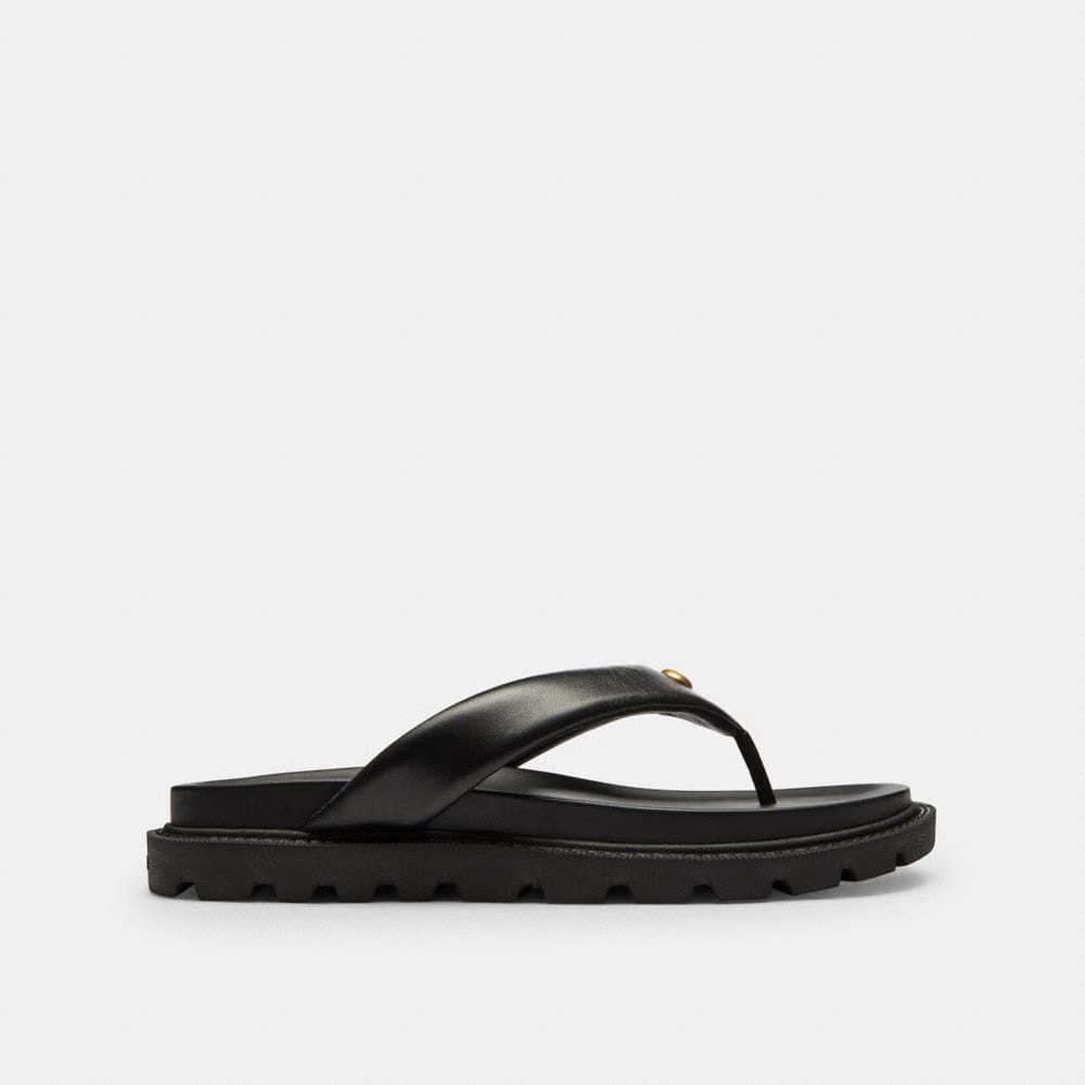 Women's Coach Brynn Thong Sandal Black