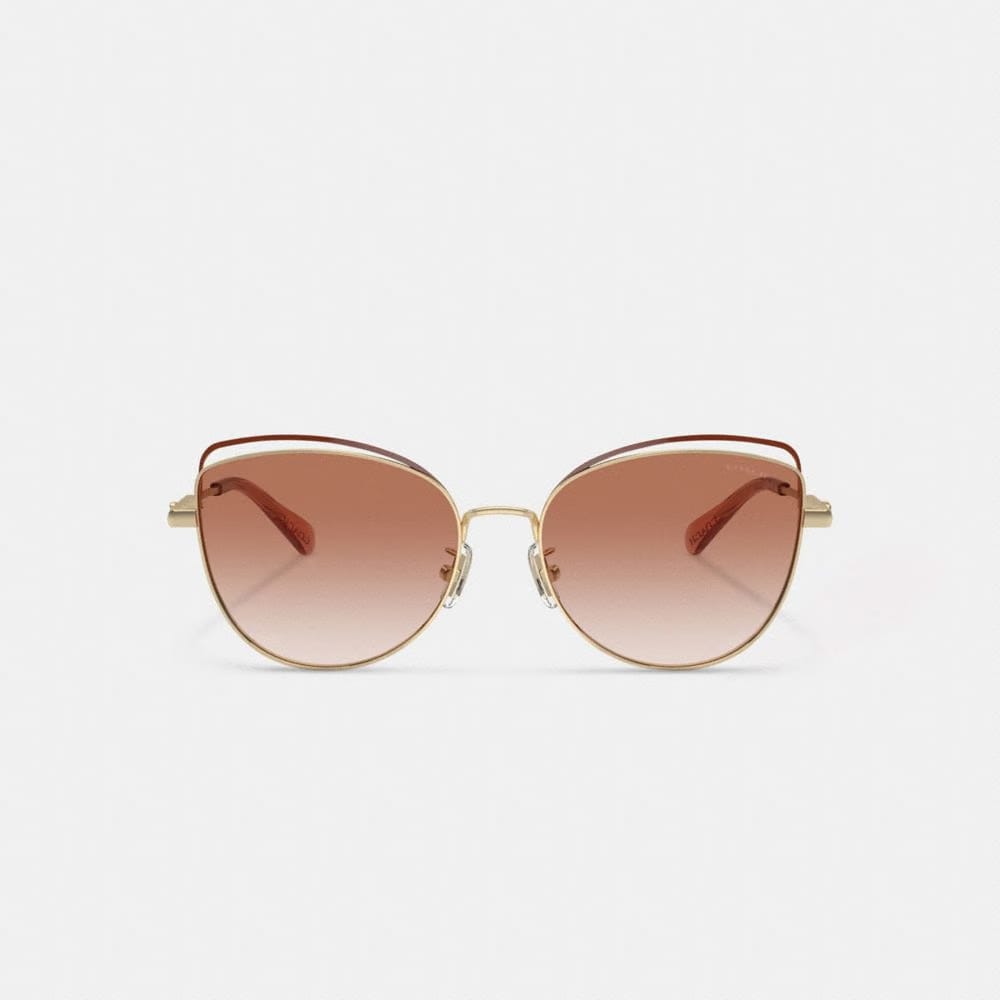 Bandit Wire Oval Sunglasses