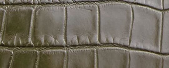 Rogue Bag 25 In Alligator