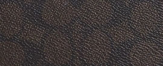 Coach Teri Shoulder Bag In Signature Canvas