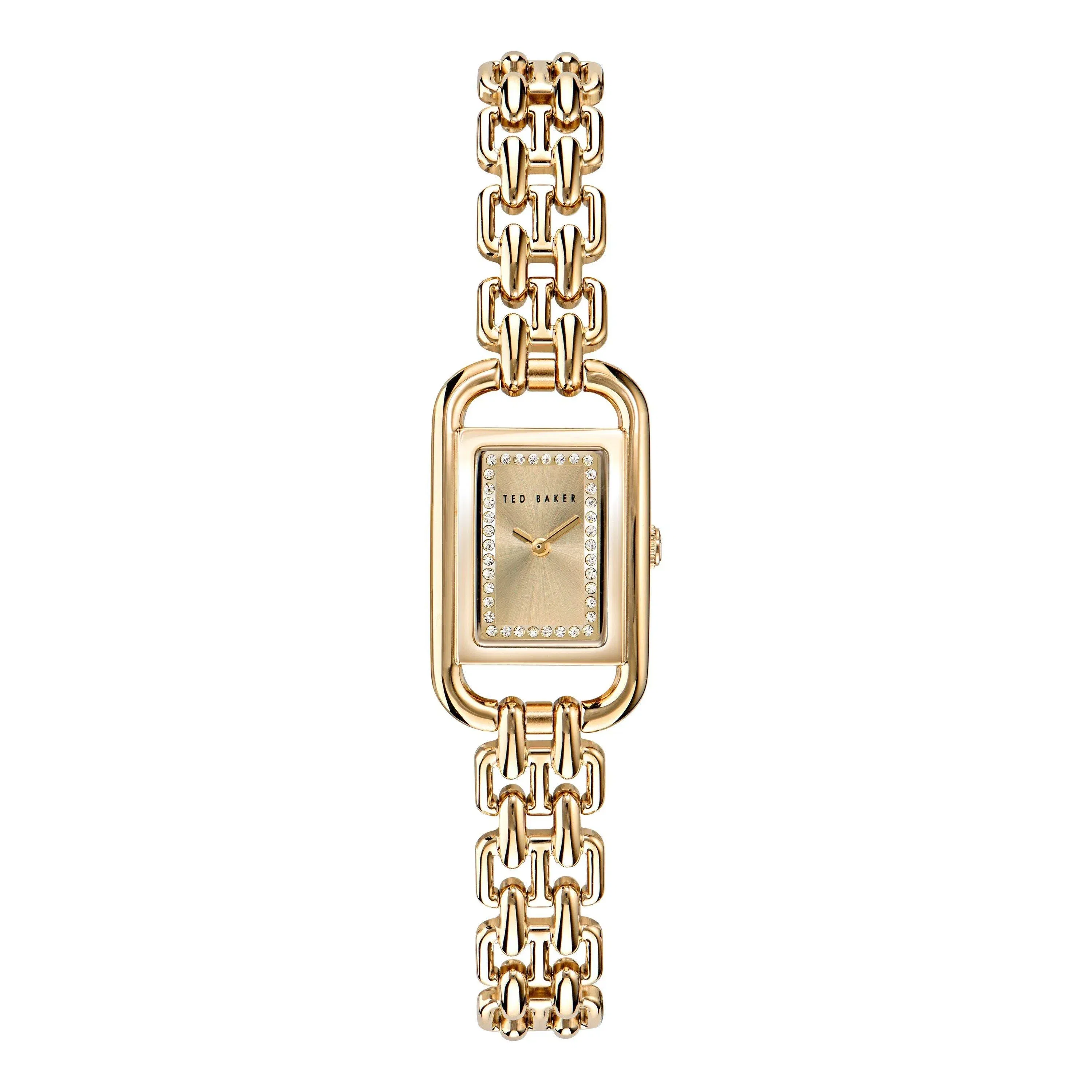 Tessye Quartz Analogue Watch
