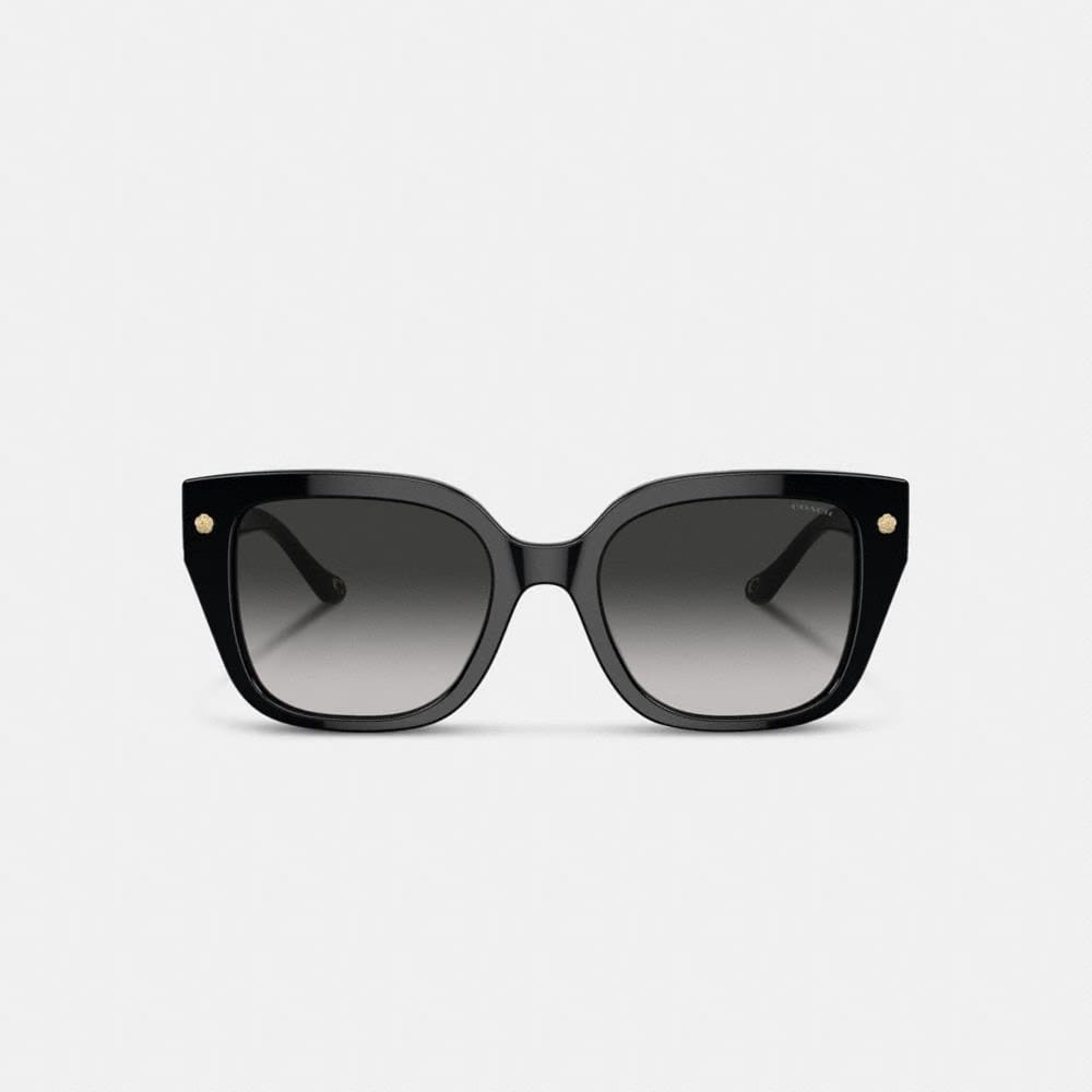 Charms Oversized Square Sunglasses