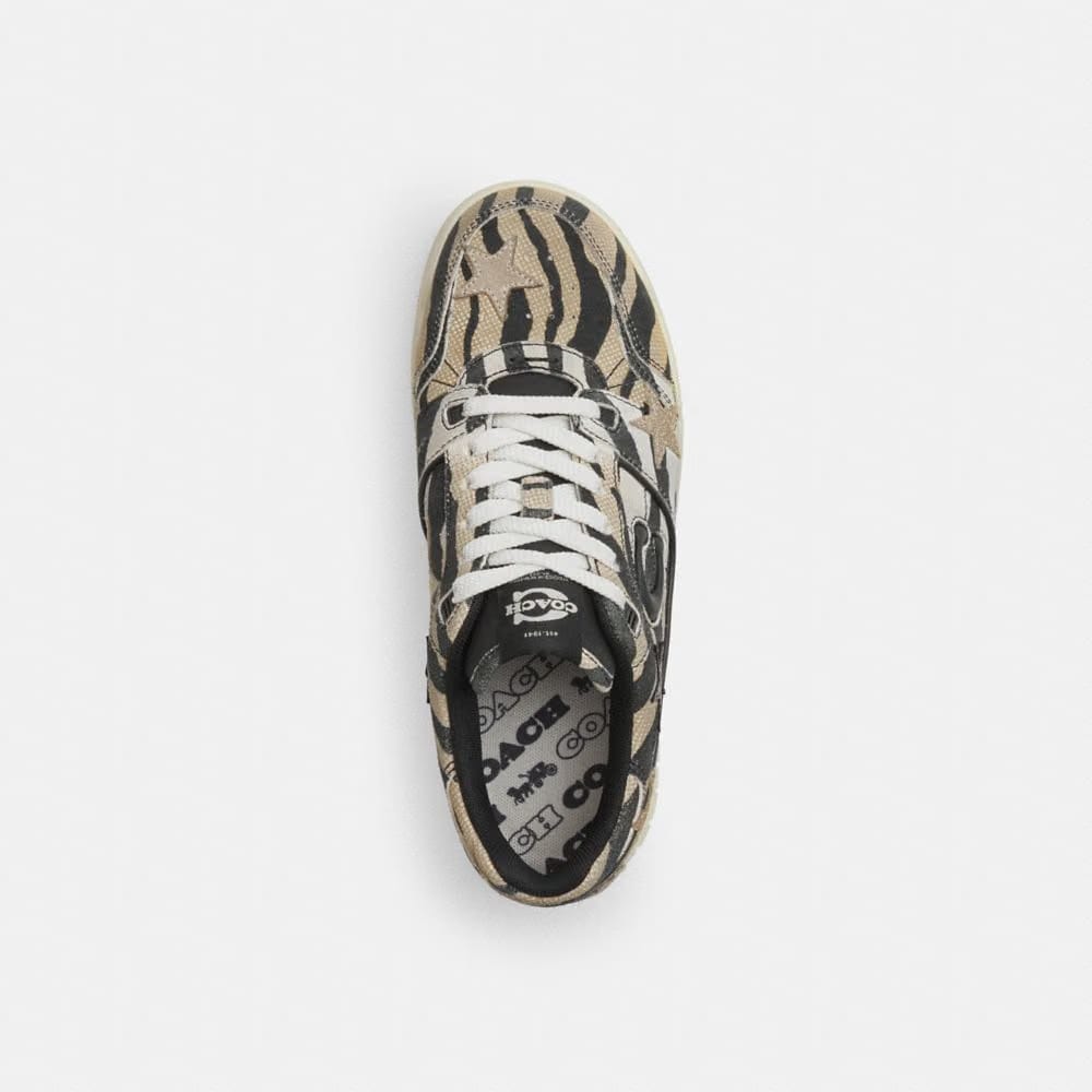 Women's Coach Soho Sneaker With Stars Tiger Multi