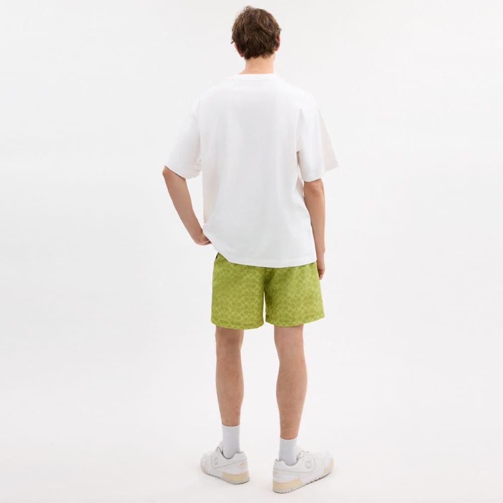 Pear Relaxed T-Shirt In Organic Cotton