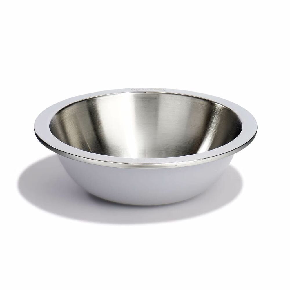 Hydro Flask Camp Bowl