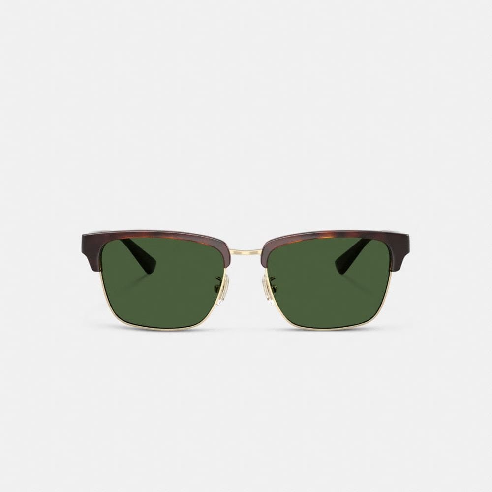 Coach Coach Script Square Sunglasses Dark Tortoise