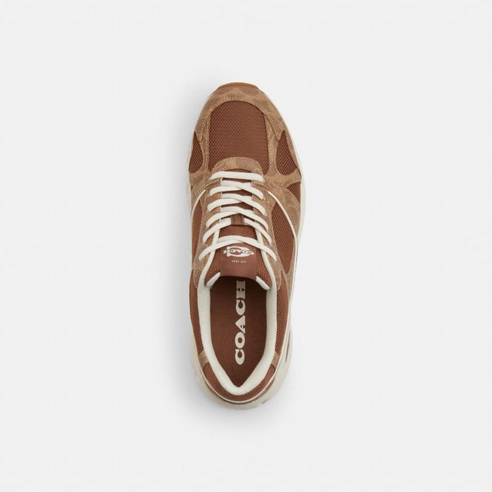 Sport Sneaker In Signature Canvas