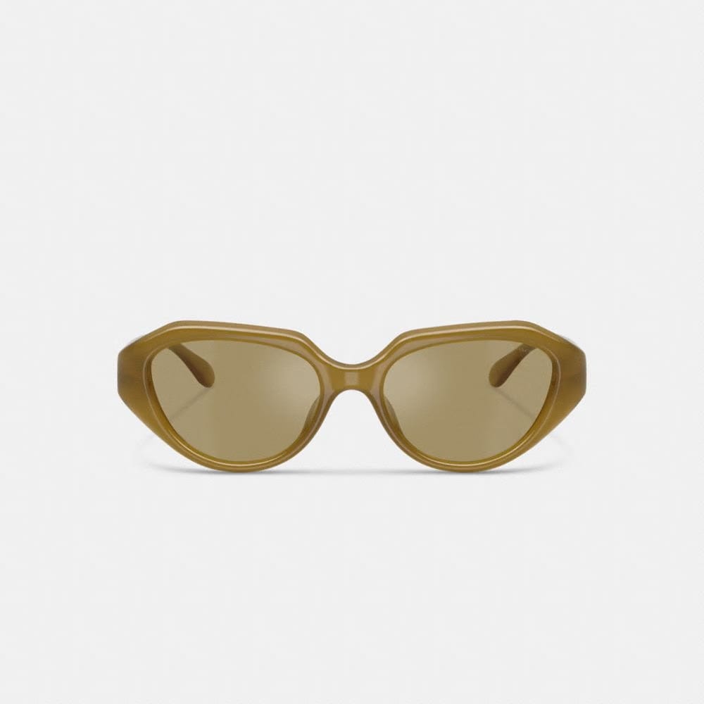 C Hardware Geometric Sunglasses