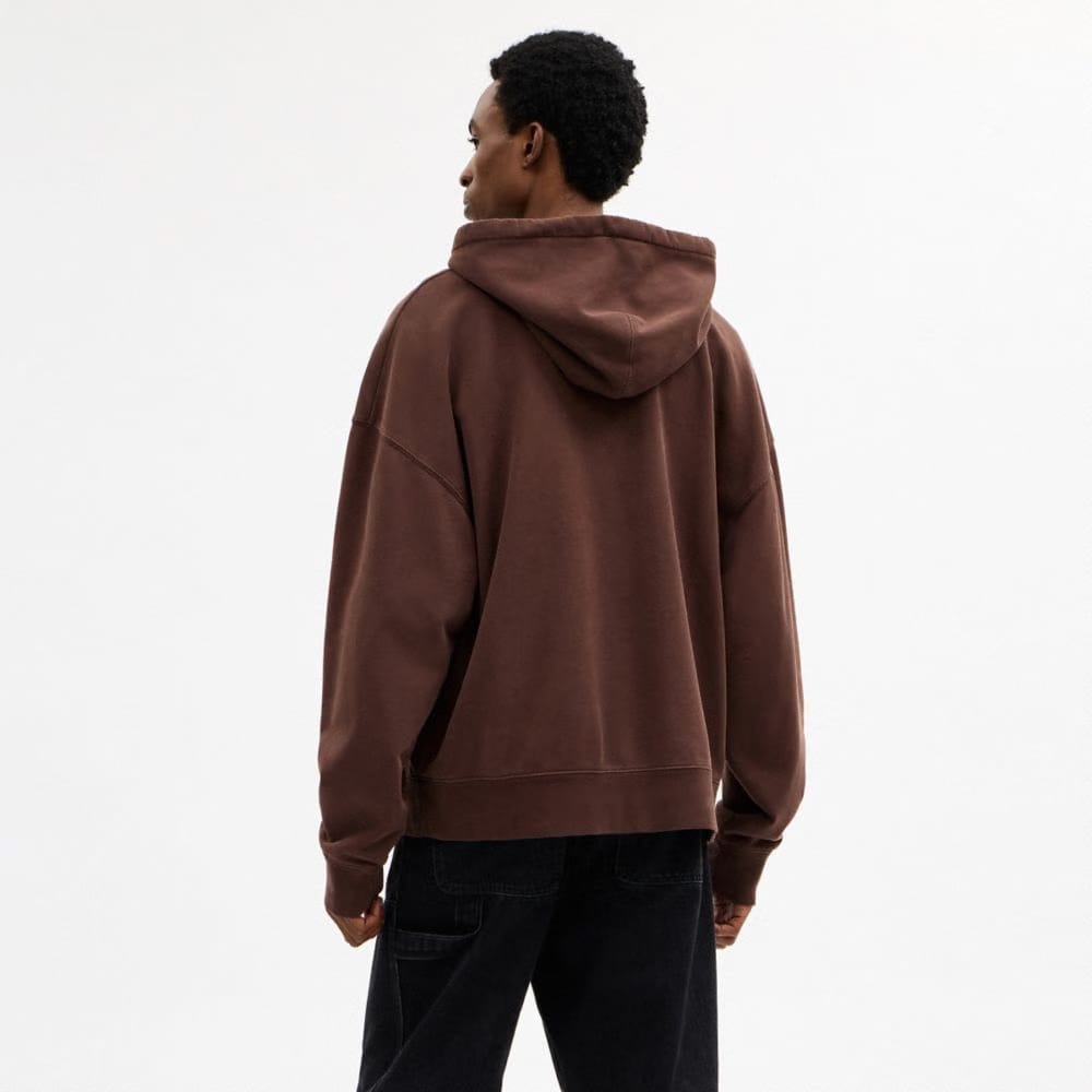 Coach Horse And Carriage Hoodie Brown