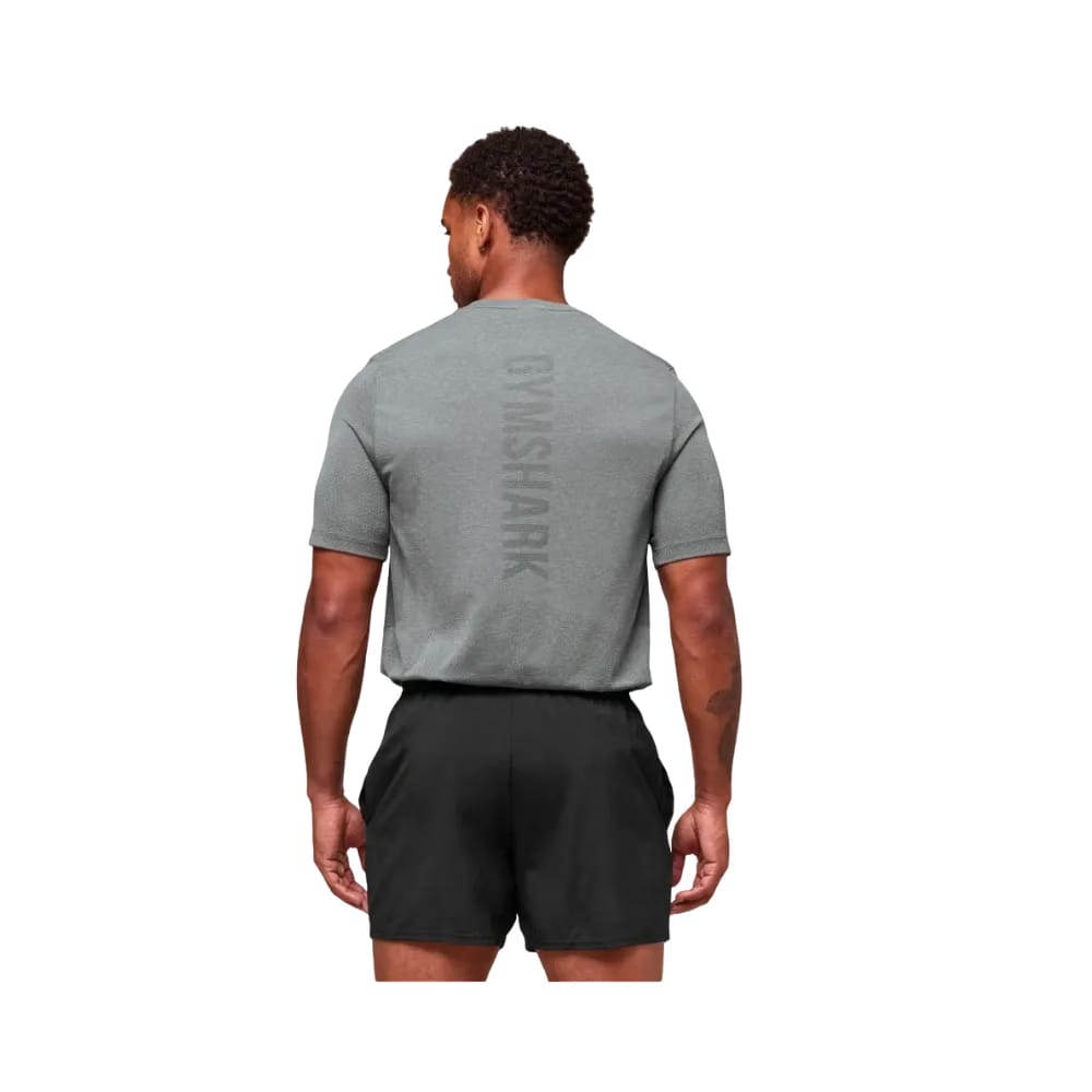 Gymshark Lightweight Seamless T-Shirt Light Grey