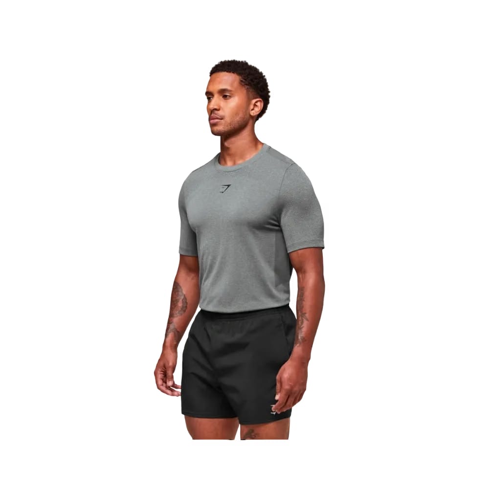 Gymshark Lightweight Seamless T-Shirt Light Grey