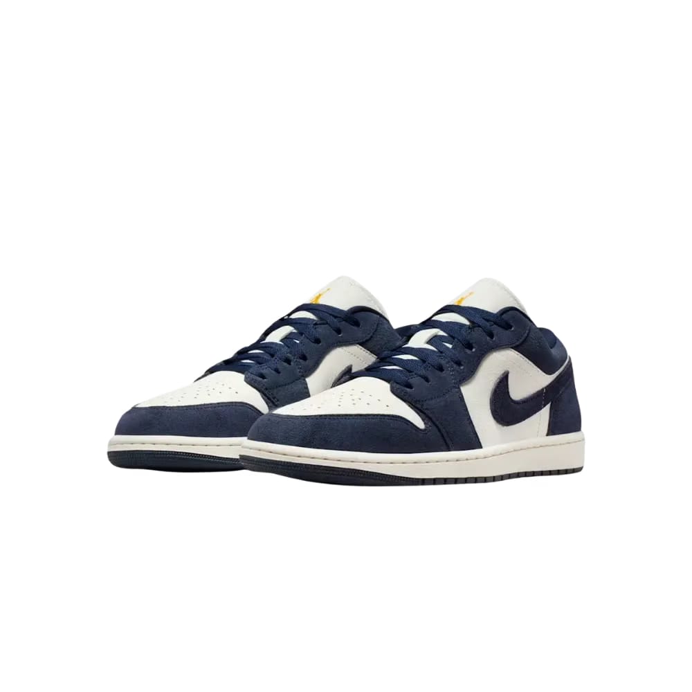 Air Jordan 1 Low SE Obsidian Suede