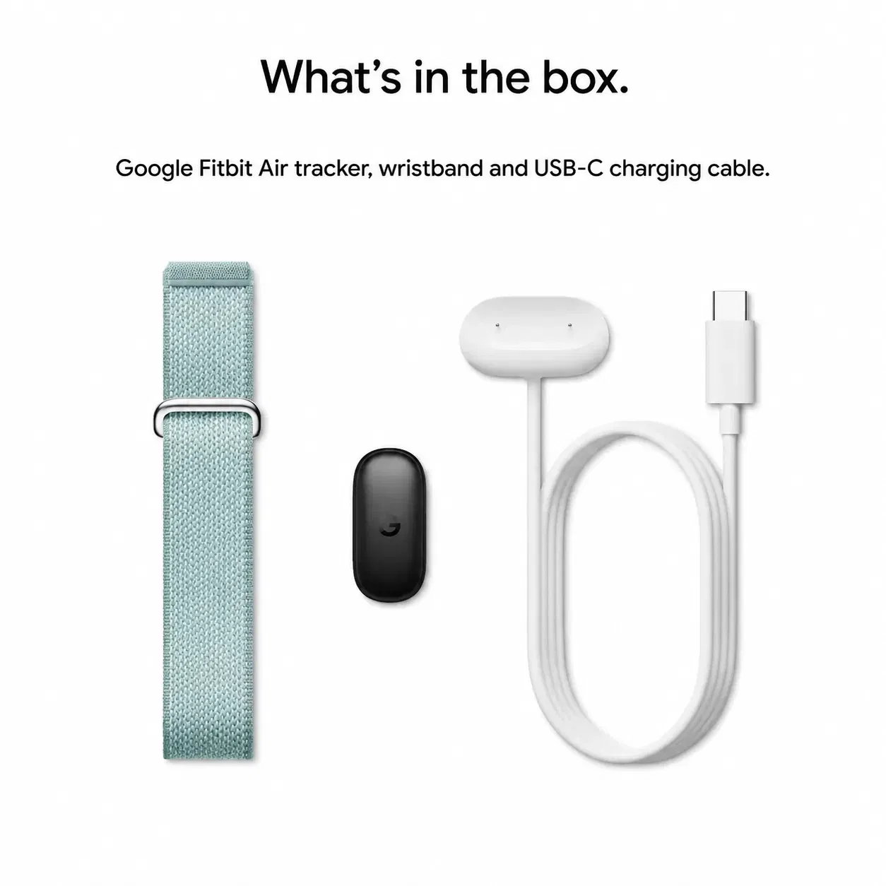 Google Fitbit Air Classic Fog