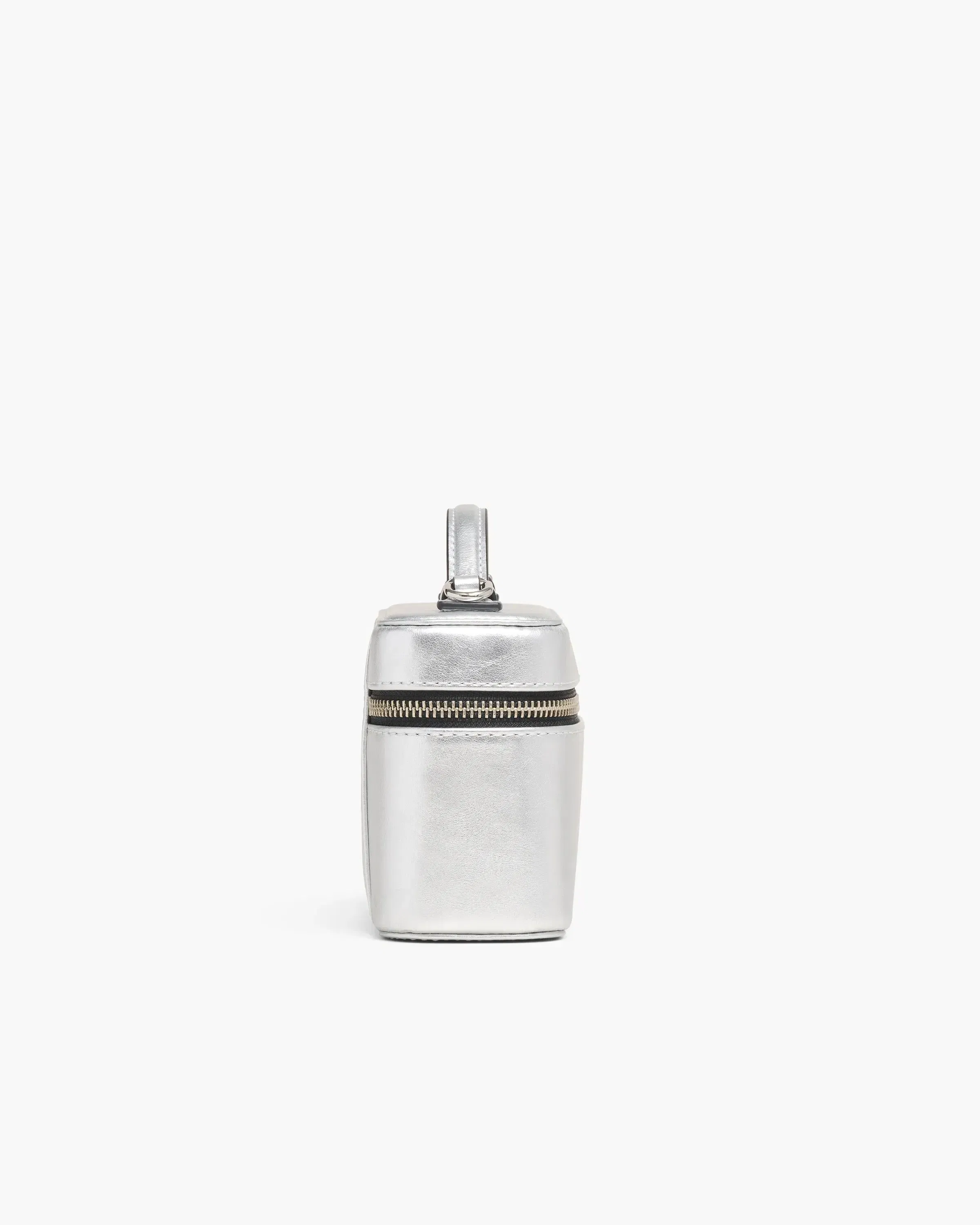 Scene Vanity Bag In Metallic