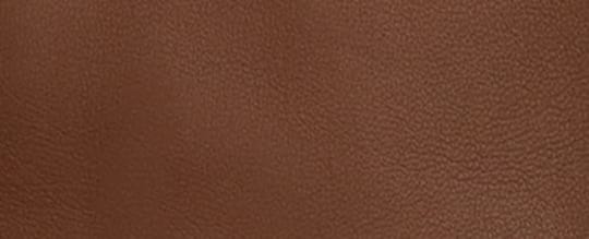 Leather Tech Gloves