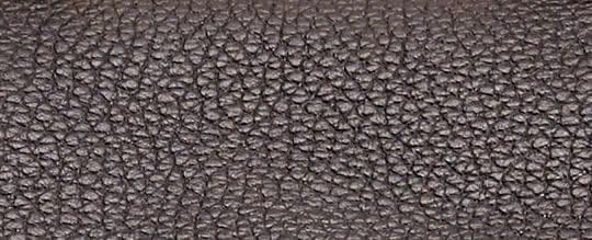 Restored Riya Backpack 21