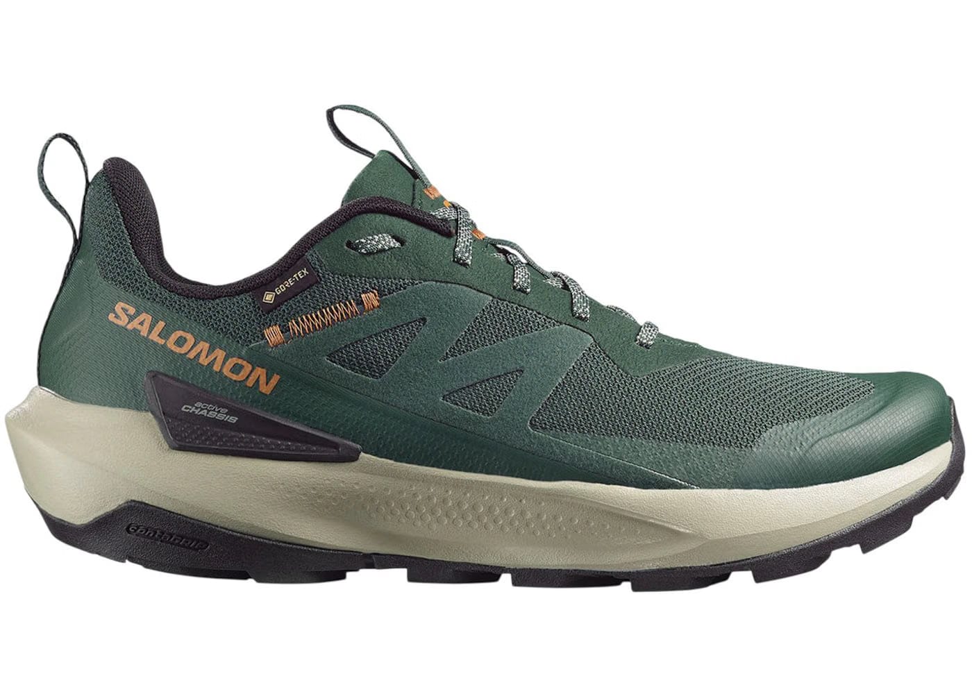 Salomon Elixir Activ Gore-Tex Scarab Green Gable