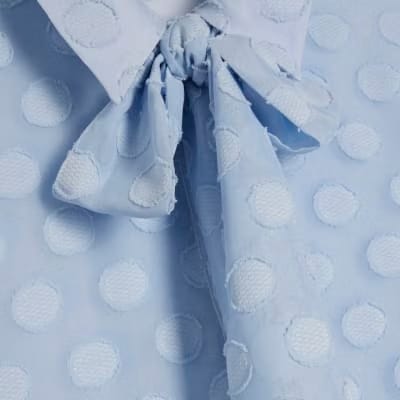 Blue Organza Polka Dot Blouse