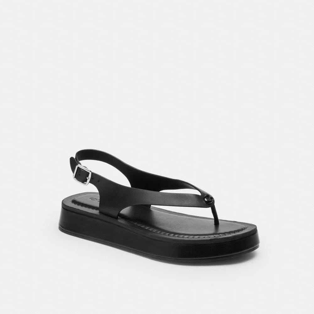 Women's Coach Sculpted C Platform Thong Sandal Black
