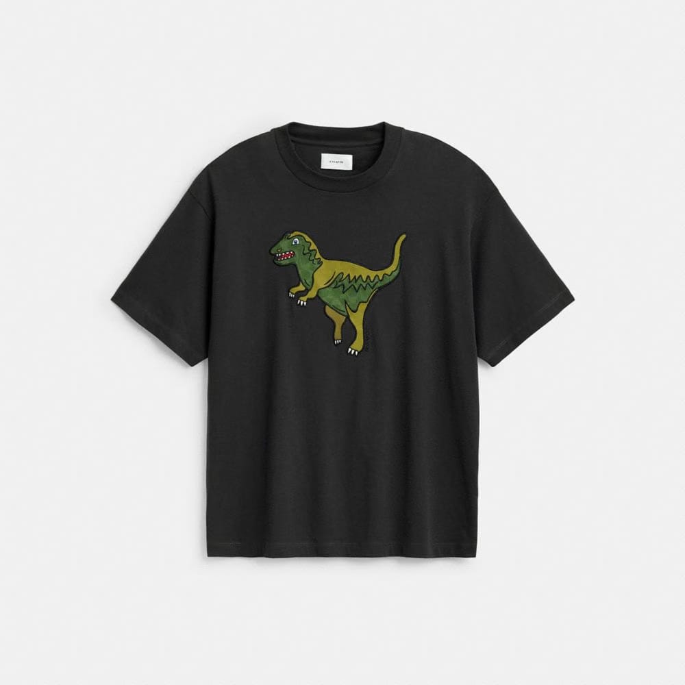 Rexy Relaxed Fit T-Shirt In Organic Cotton
