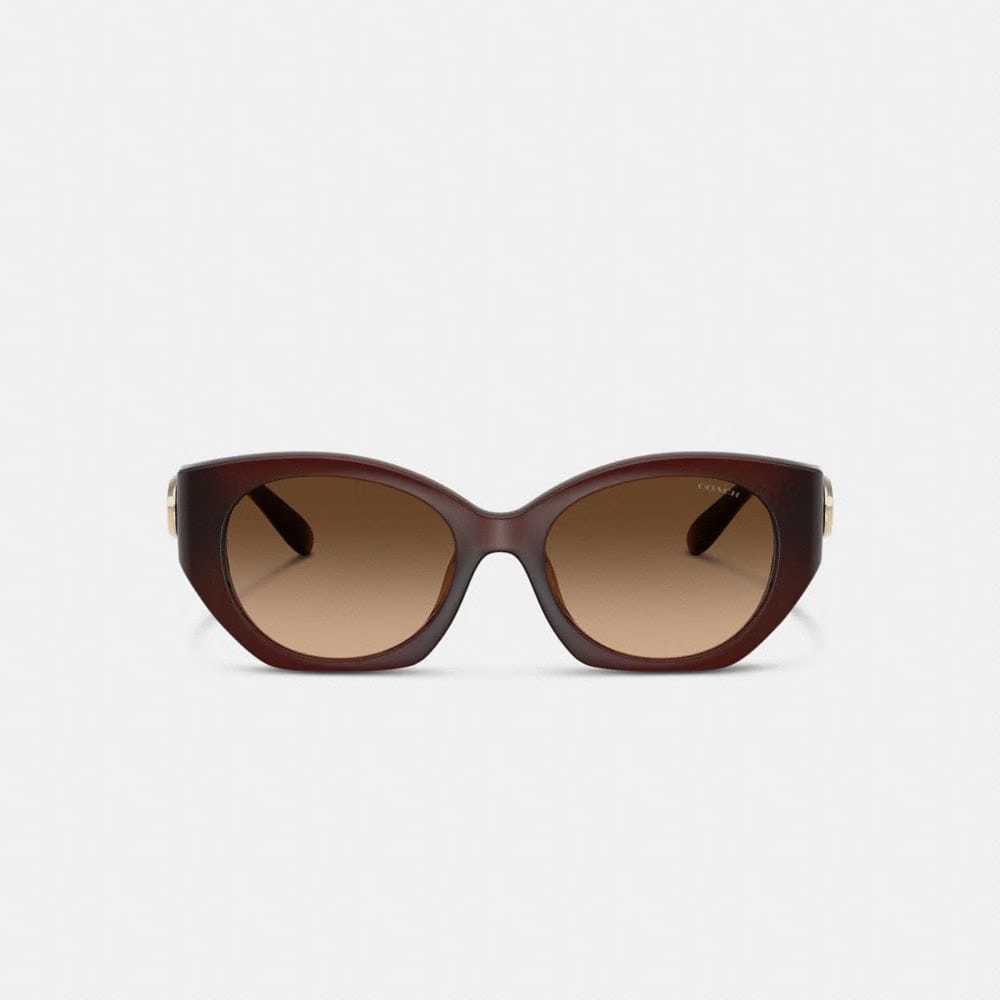 Maxi Sculpted C Oval Sunglasses