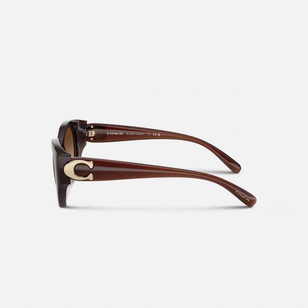 Maxi Sculpted C Oval Sunglasses