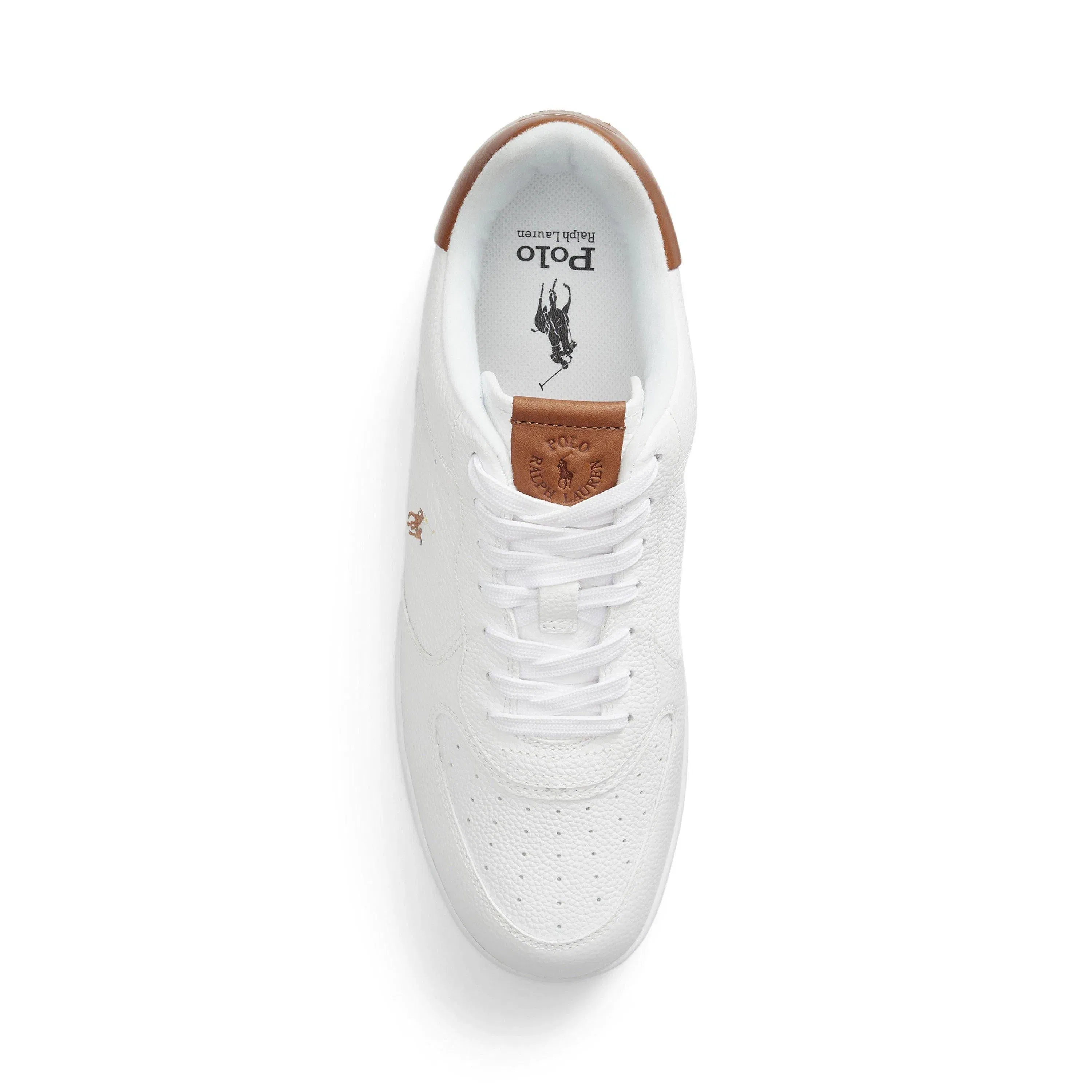 Master Court Trainers