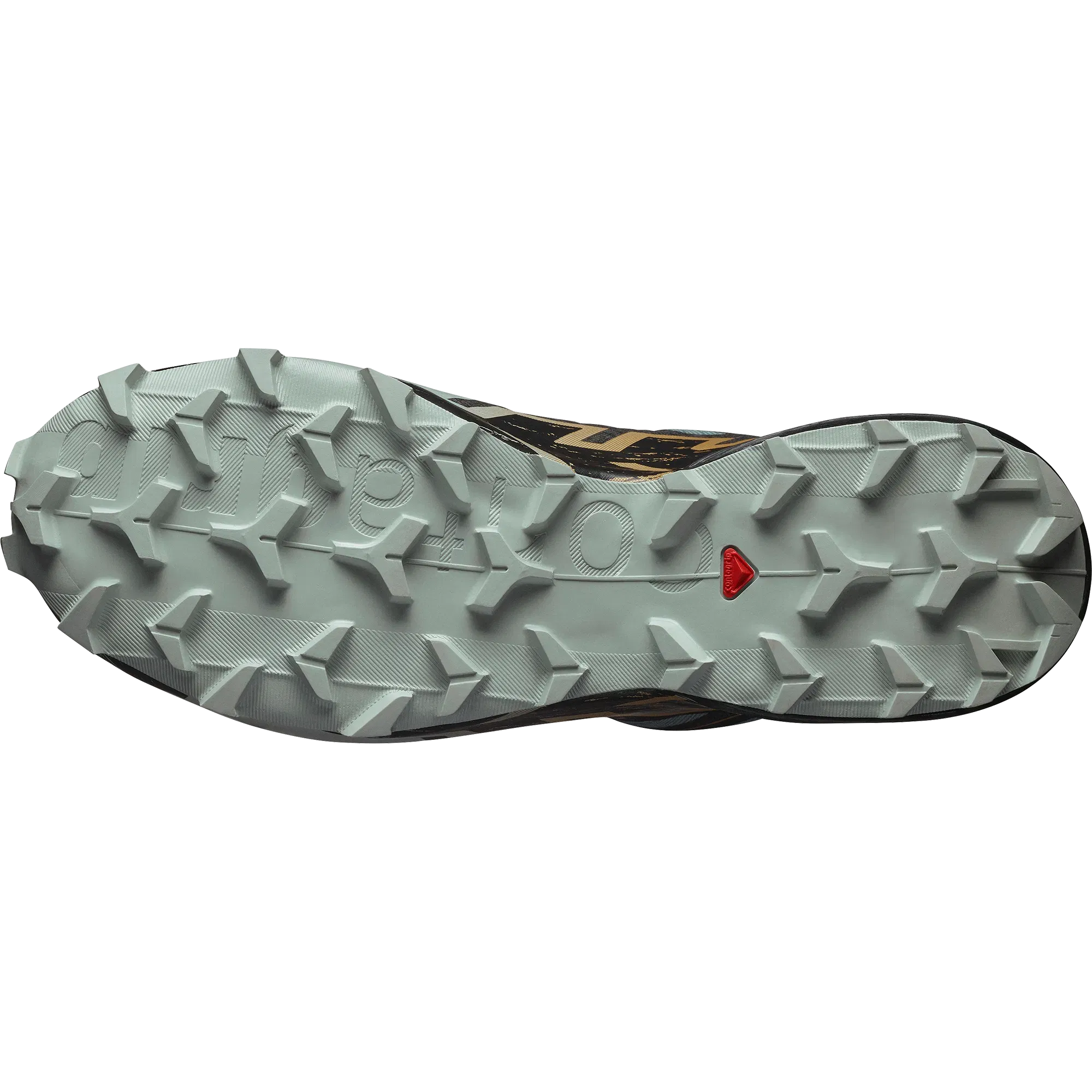 Salomon Speedcross 6 Gore-Tex Trail Running Shoes Trooper