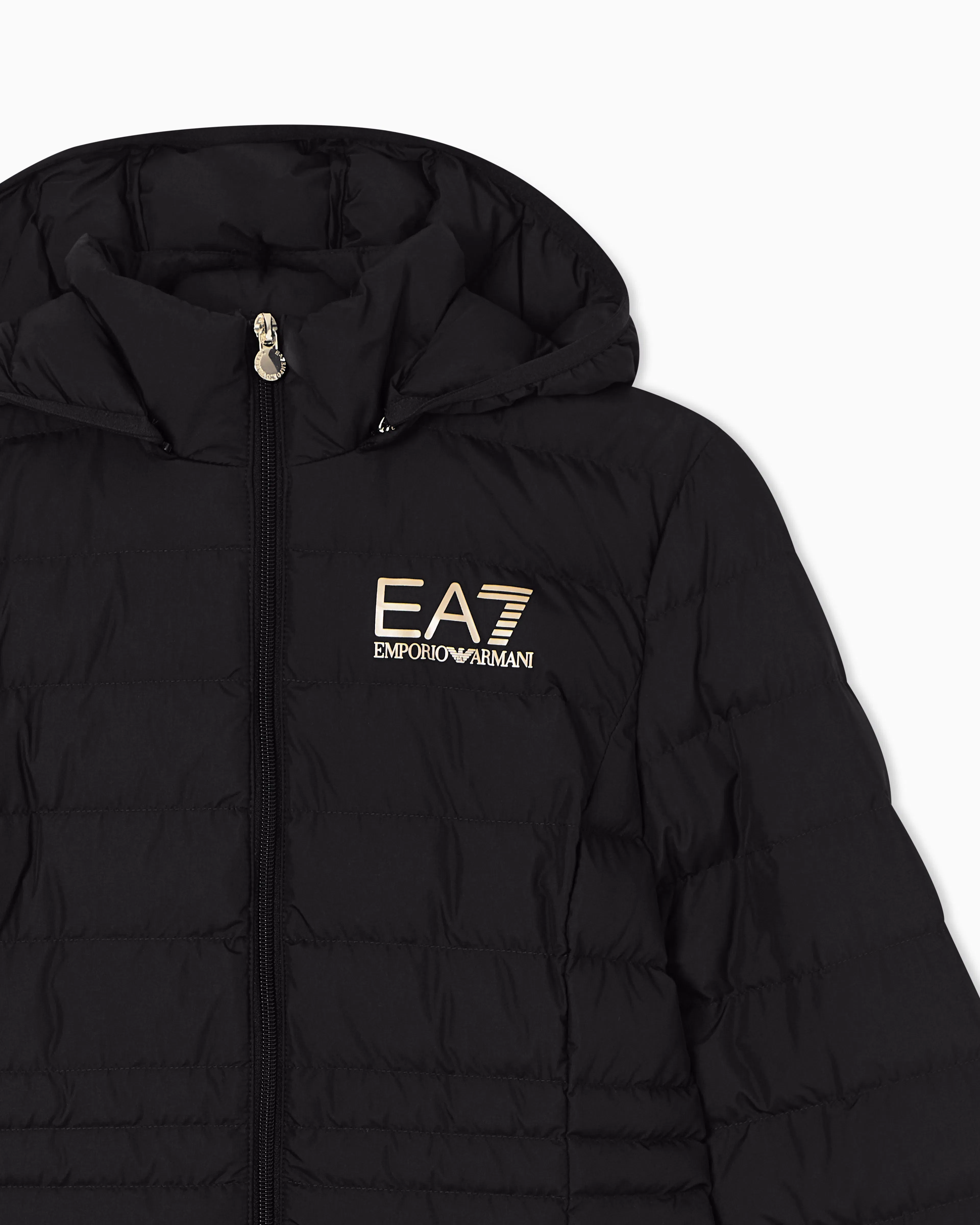 EA7 Padded jacket in technical fabric with a hood and zipper