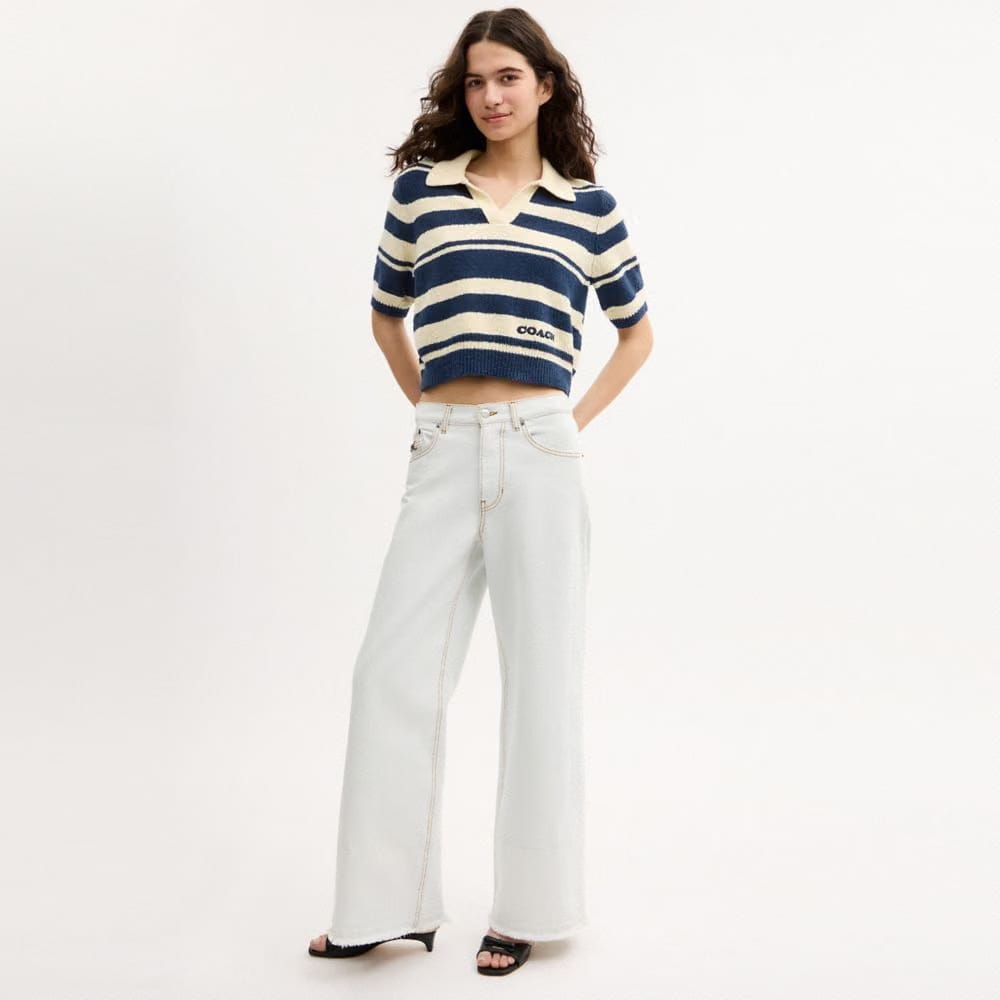Coach Striped Knit Polo Navy Ivory