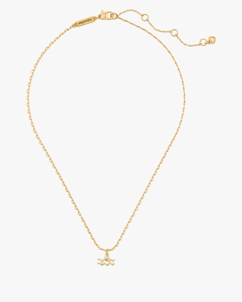 What's Your Sign Aquarius Mini Pendant