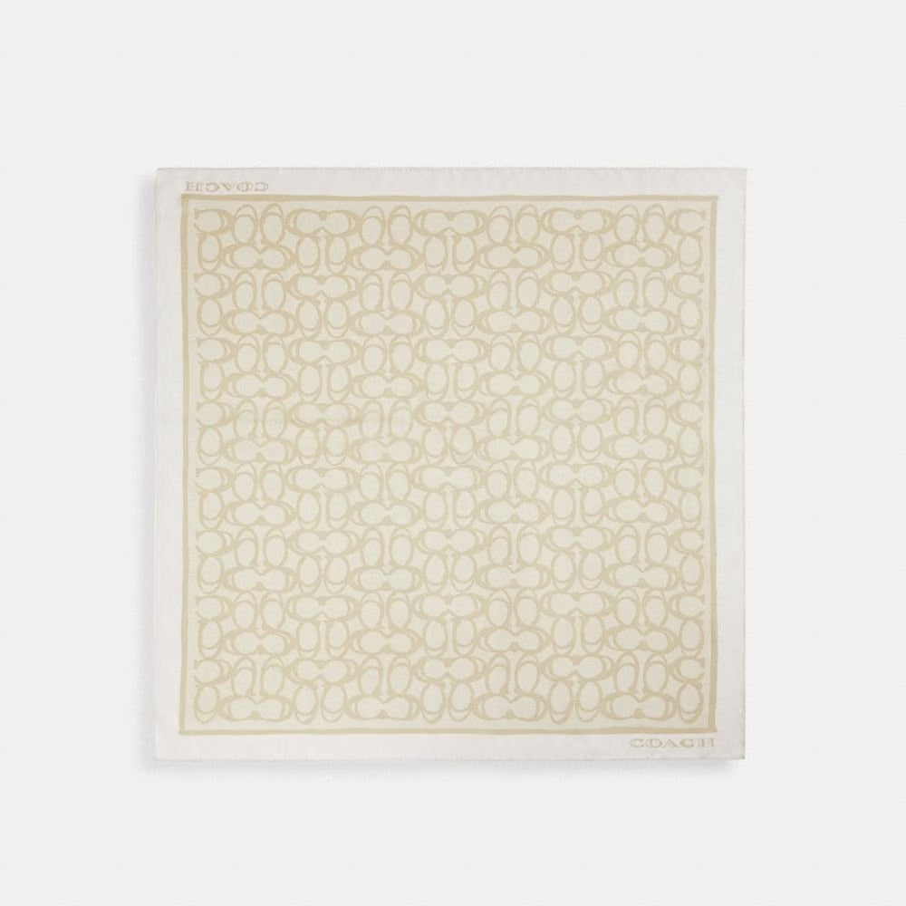 Jumbo Signature Silk Square Scarf