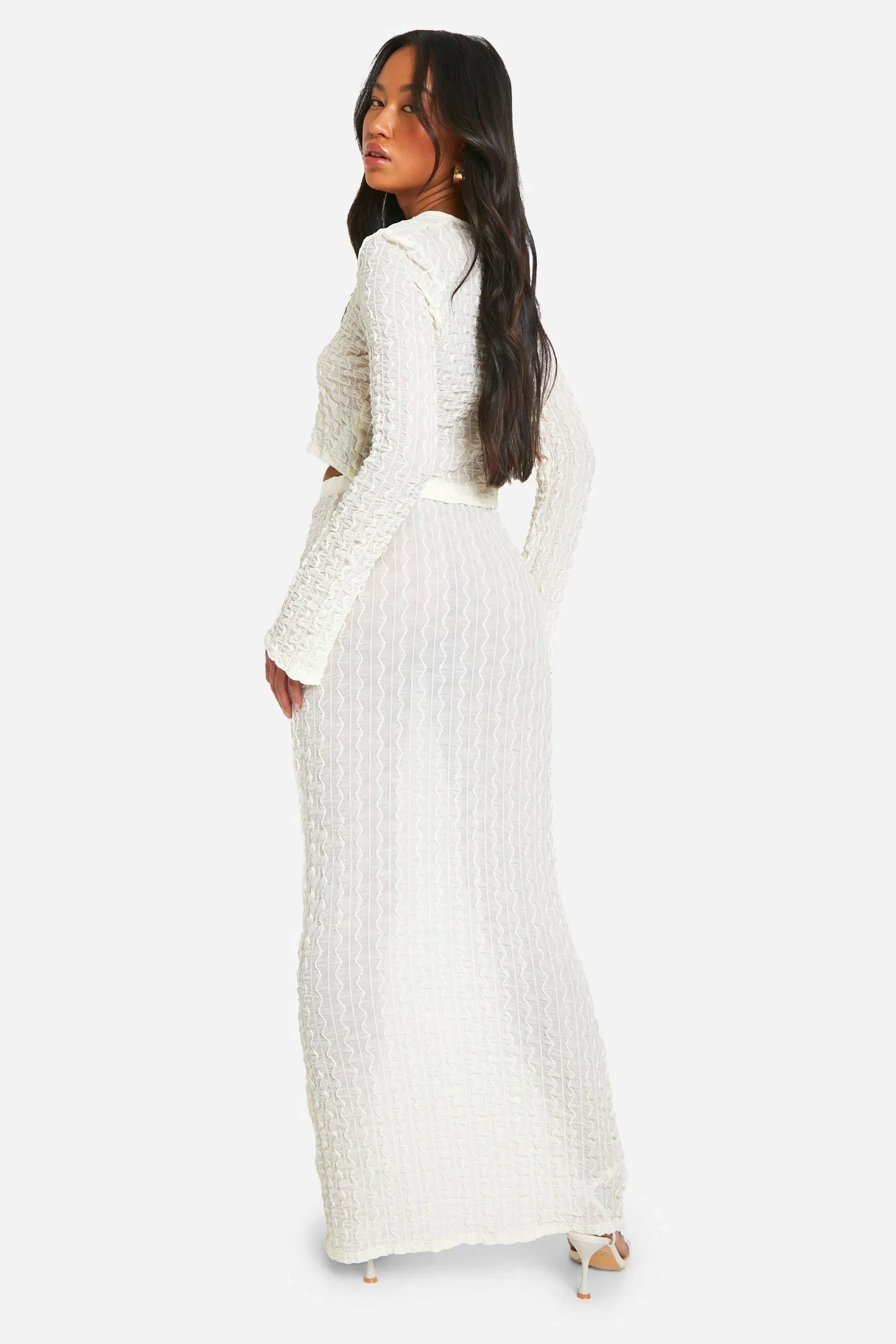 Sheer Textured Low Rise Maxi Skirt