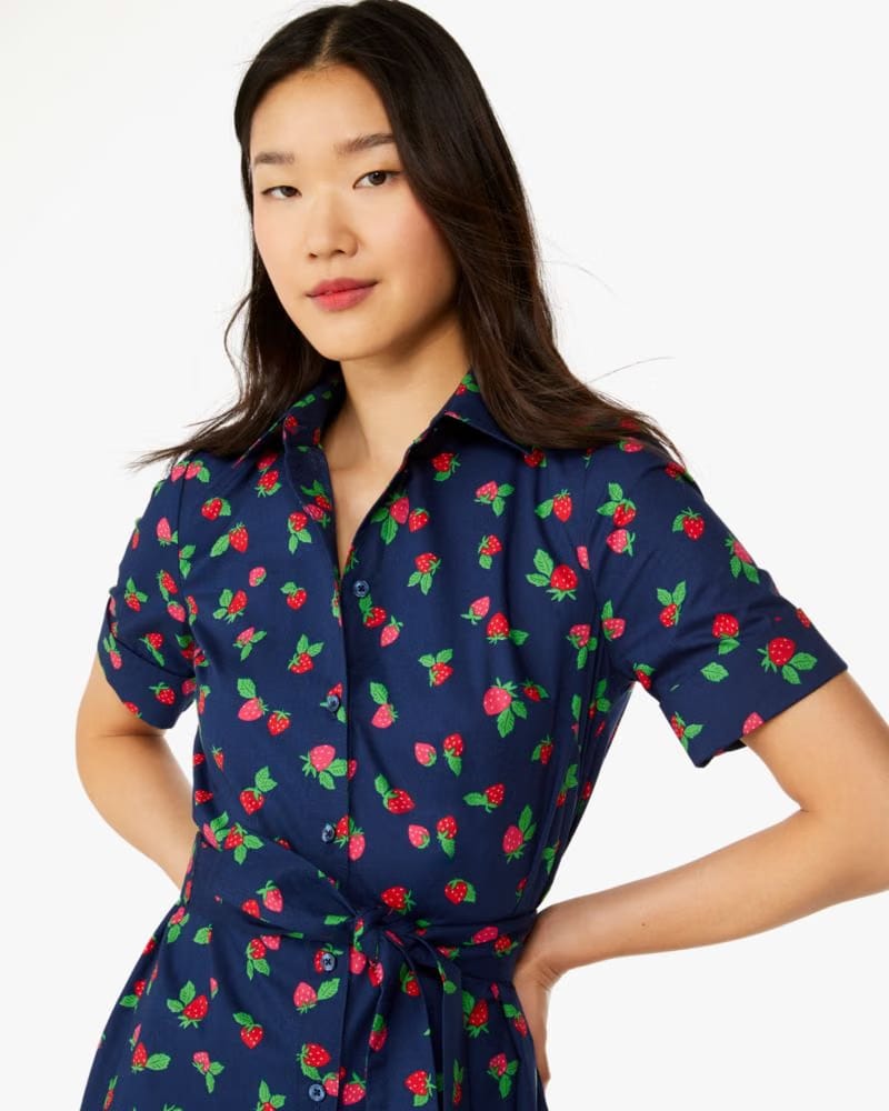 Tossed Strawberry Shirtdress