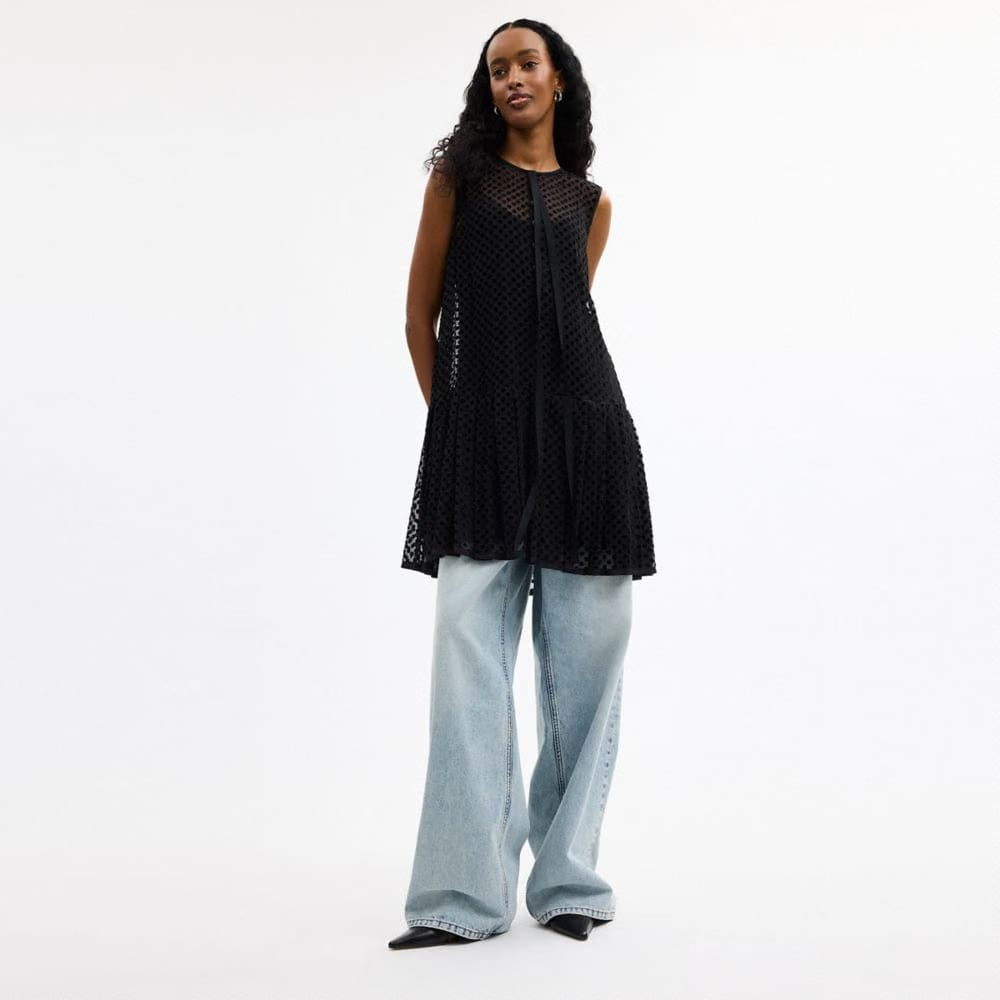 Velvet Burnout Dress