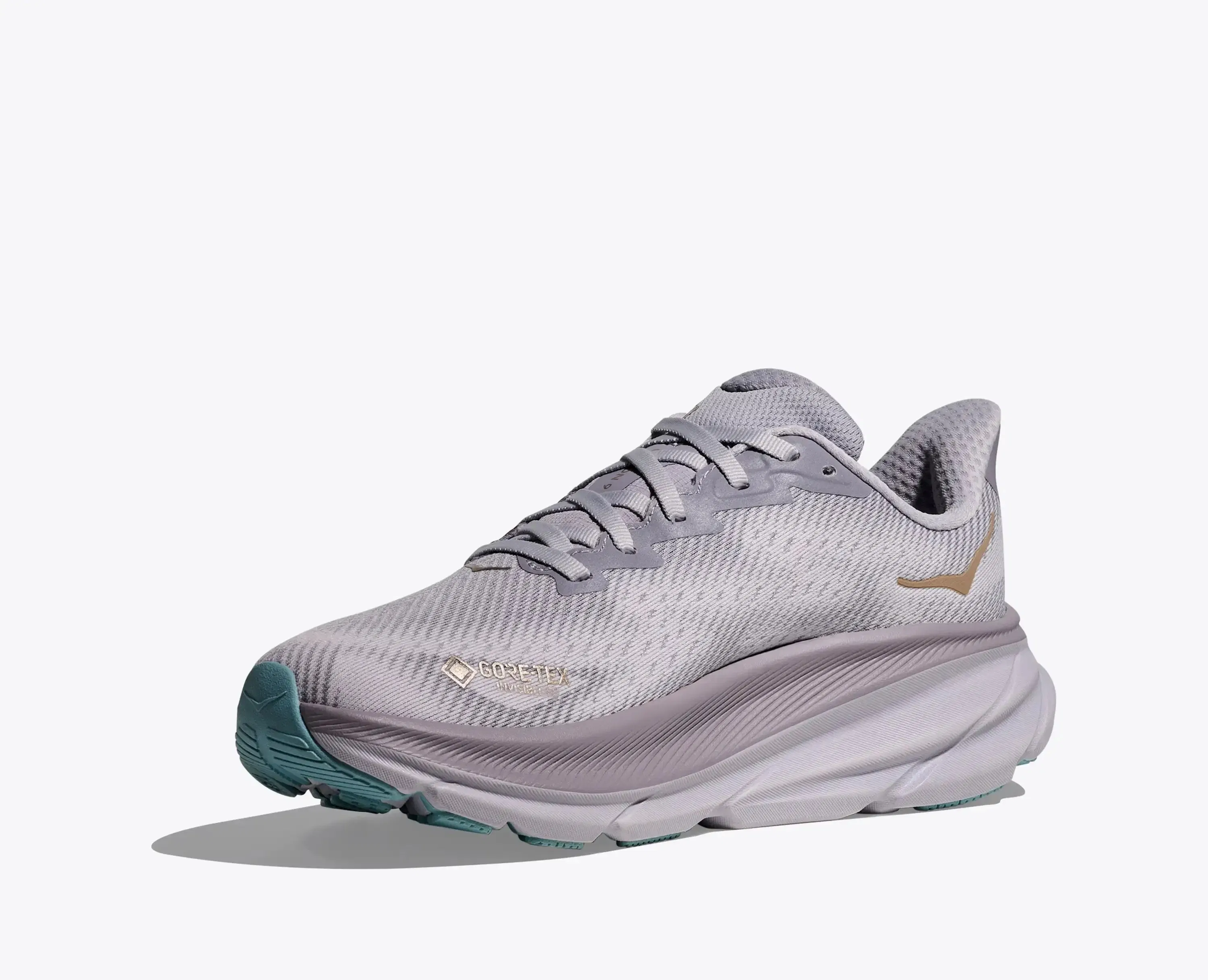 Hoka Women'S Clifton 9 Gtx Foggy Grey Ash Grey