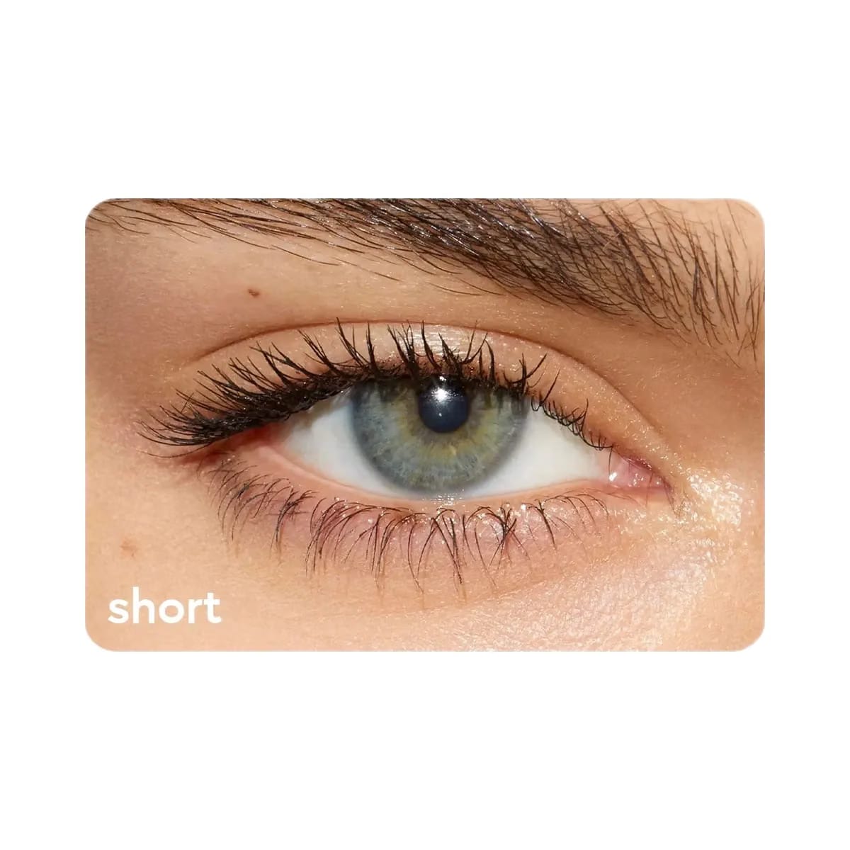 Kylie Wisp Lash Mascara & Classic Matte Palette Duo