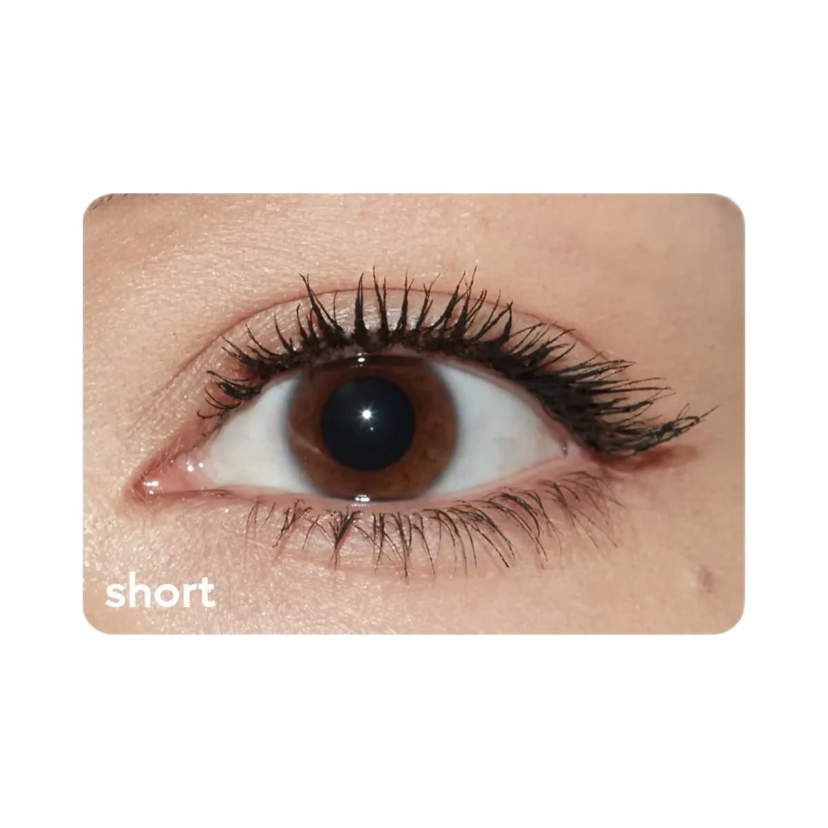 Kylie Kylash Volume Mascara Duo