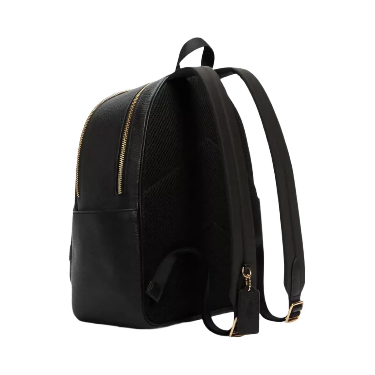 Coach Court Backpack in Gold Black