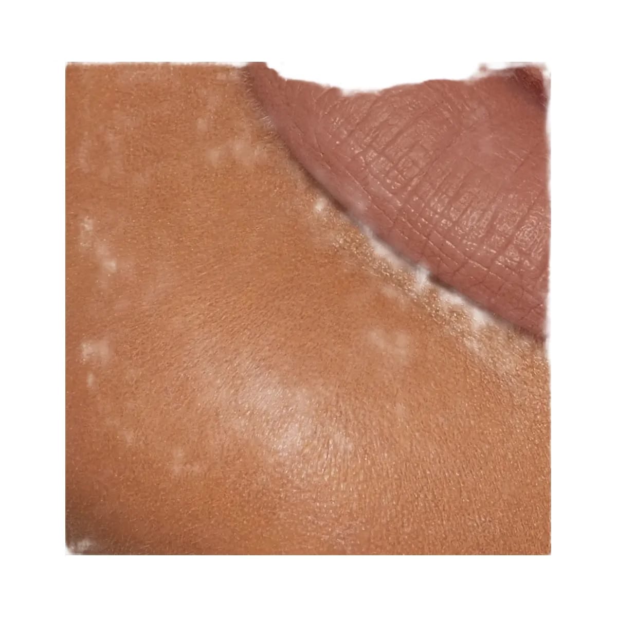 Kylie Matte Lip Kit Dolce K