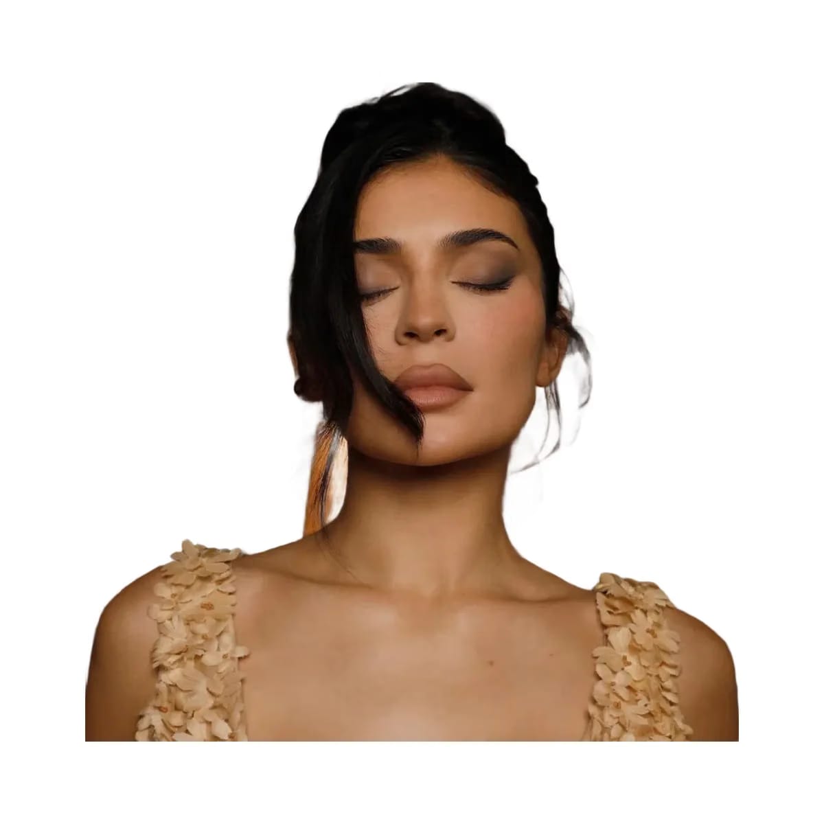 Kylie Precision Pout Lip Liner Cinnamon